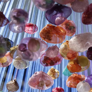 Under the Butterfly Wings